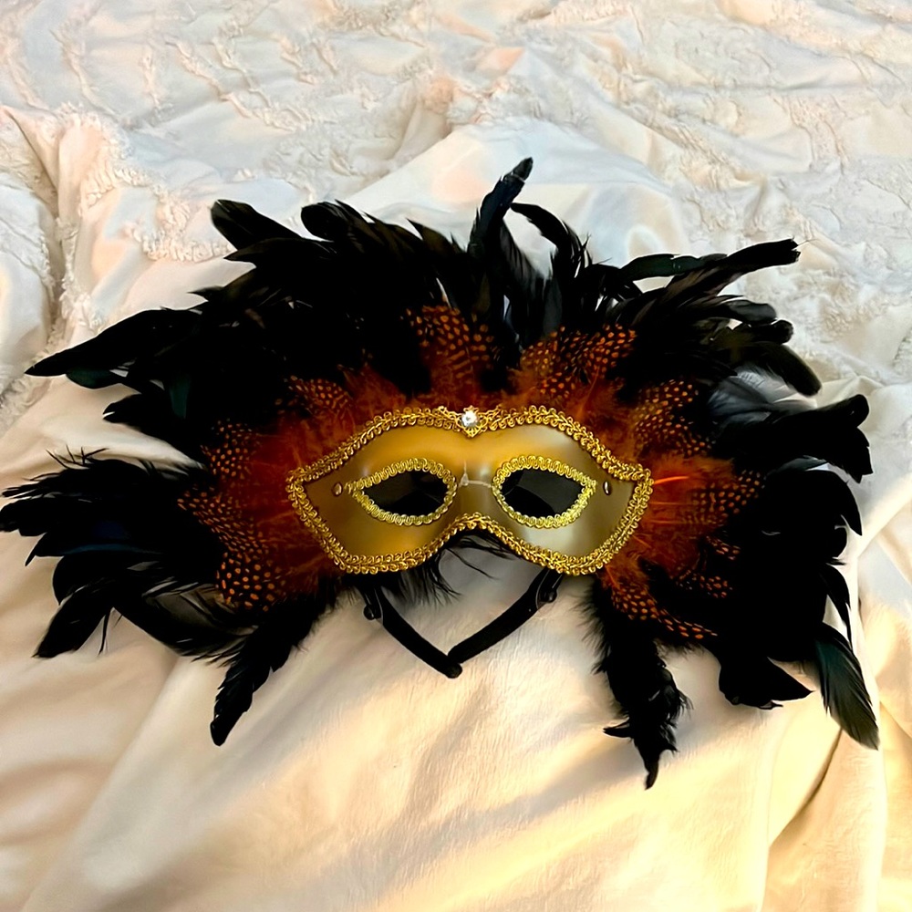 Halloween Mask Masquerade Ball Labyrinth Venetian Feathered Mardi Gras
